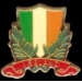 IRELAND FLAG LAUREL PIN